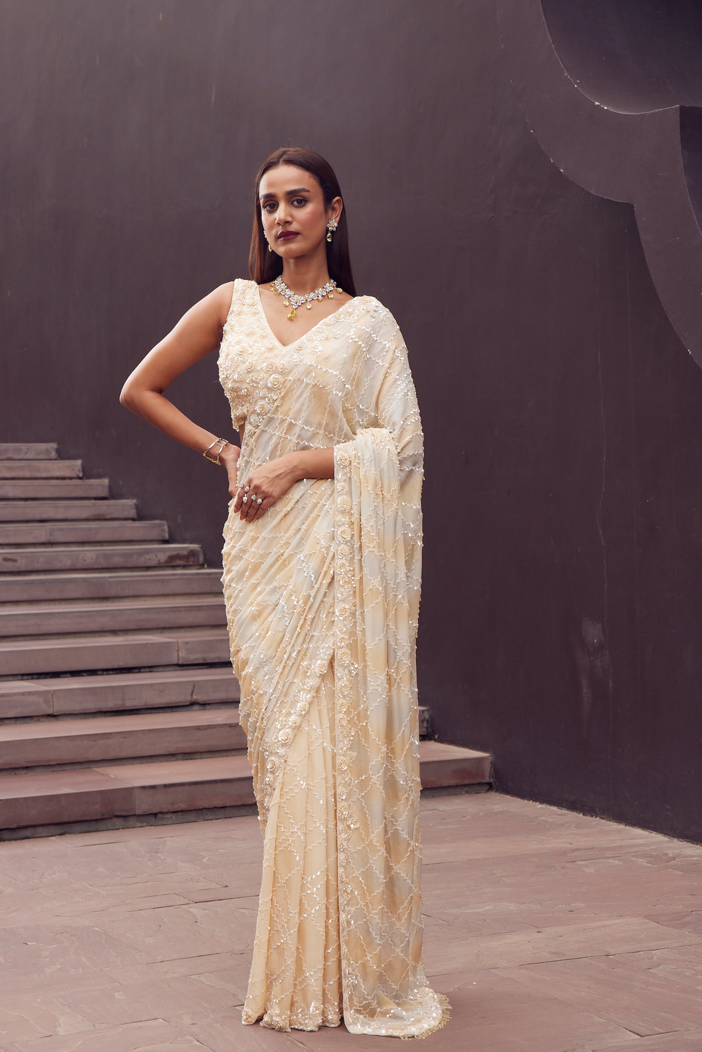 FOIL CHINON EMBROIDERED SAREE