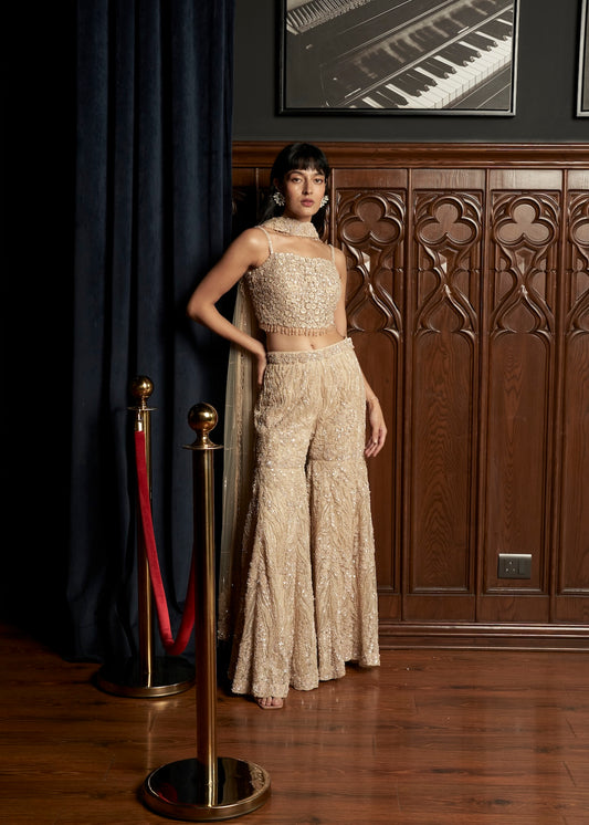 BEIGE INDO-WESTERN SET