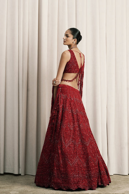 RED EMBROIDERED NET LEHENGA WITH DUPATTA
