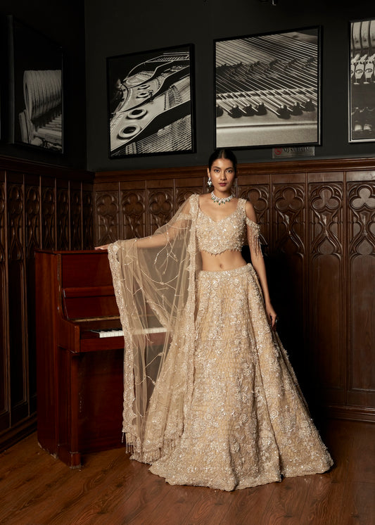 BEIGE 3D LEHENGA SET